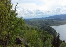 strona